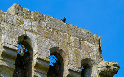 Raglan Castle - 5