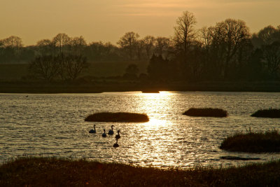 swanning about in the sunset