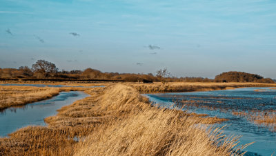 River embankment northwards towards Waldringfield