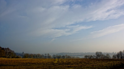 misty morning