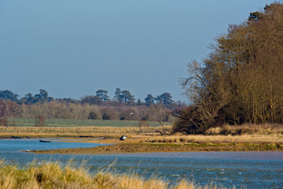 between Ramsholt and Shottisham