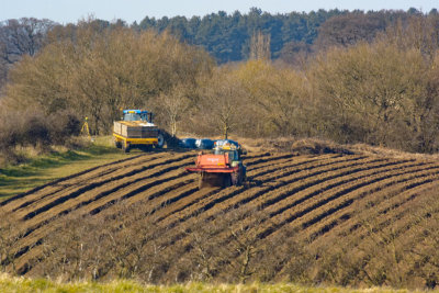 look no hands! farming