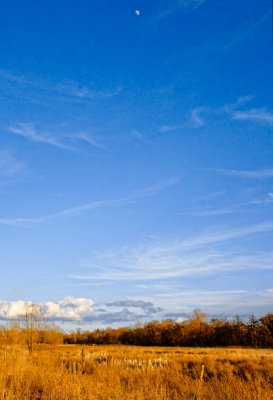 Mill River with moon