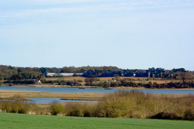 Ramsholt cliff from near Hemley