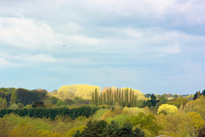 spring greens above Newbourne