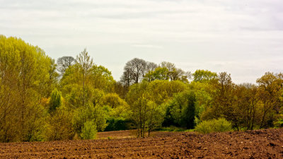 in the Mill River valley