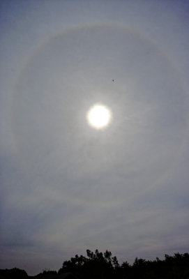 22 deg Halo