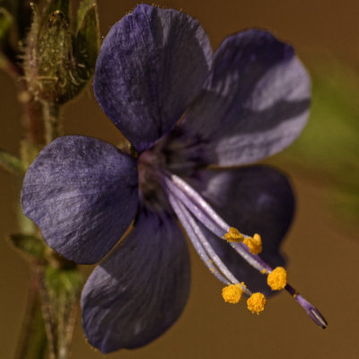 messing about with macro