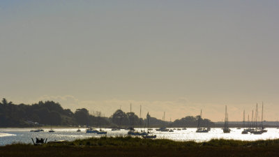 Ramsholt moorings