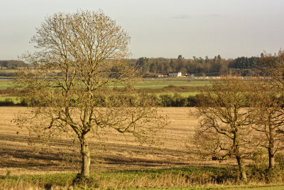 Ramsholt Arms from Falkenham