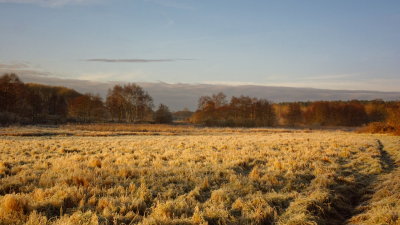 Suffolk winter landscape - 4