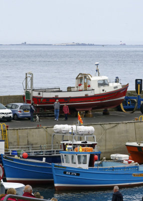 Anyone for the Farne Islands?