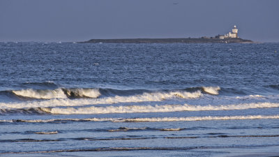 Coquet Island from Alnmouth