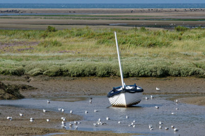 Morston and Blakeney channels