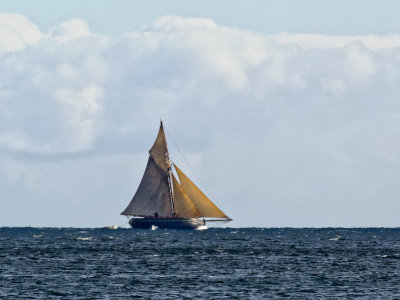 proper sailing boat off Porthbean