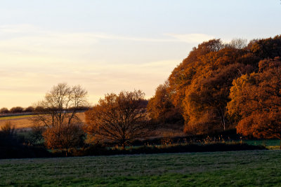 working up to sunset