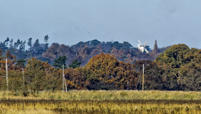 Woodbridge working windmill