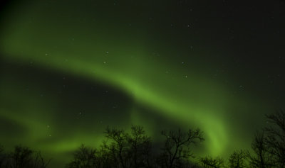 Aurora borealis - CP4P0997.jpg