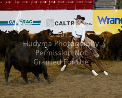 CSF3-03-0420.jpg