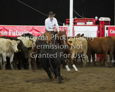 CSF4-05-0184.jpg