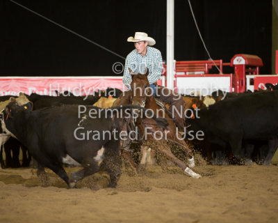 CSF5-01-0153.jpg