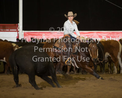 CSF5-05-0103.jpg