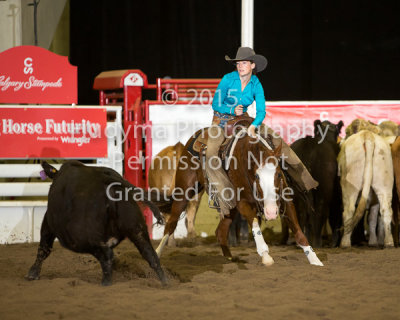 CSF5-05-0127.jpg