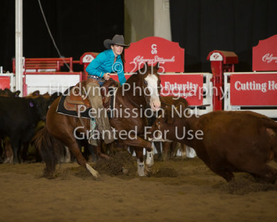 CSF5-05-0131.jpg