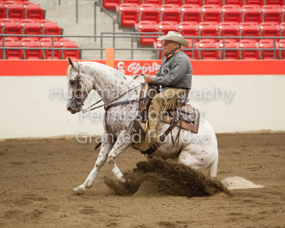 Working Cow Horse