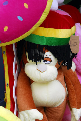ni_29573a.jpg