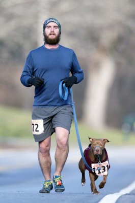 This dog runs 30 miles a week