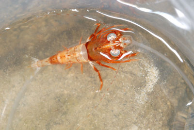 DSC_1400.jpg
