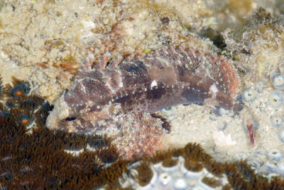 DSC_1403.jpg