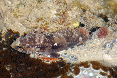 DSC_1404.jpg