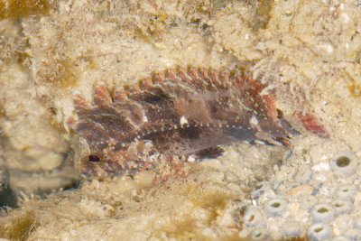 DSC_1406.jpg