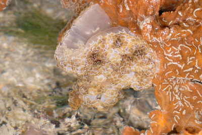 DSC_1408.jpg