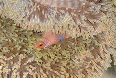 DSC_1411.jpg