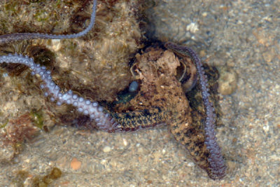 DSC_1423.jpg