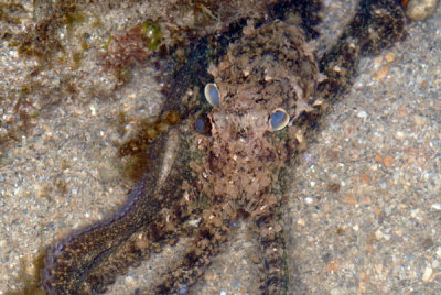 DSC_1424.jpg