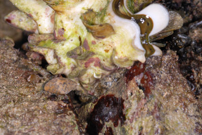 DSC_1432.jpg