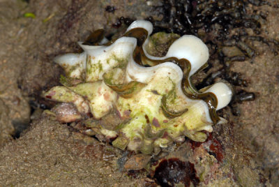 DSC_1434.jpg