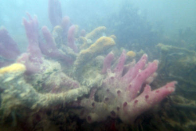 P5110264.jpg