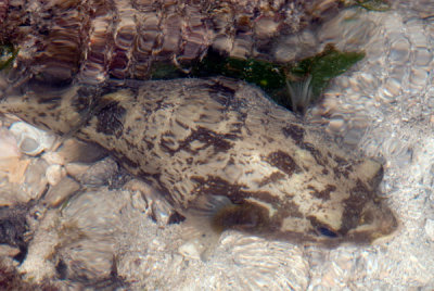 DSC_1548.jpg