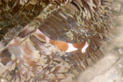 DSC_1564.jpg