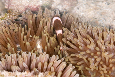 DSC_1566.jpg