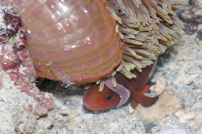 DSC_1581.jpg