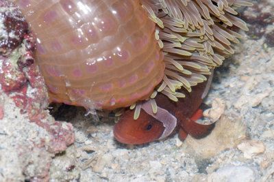 DSC_1582.jpg