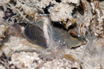 DSC_1586.jpg