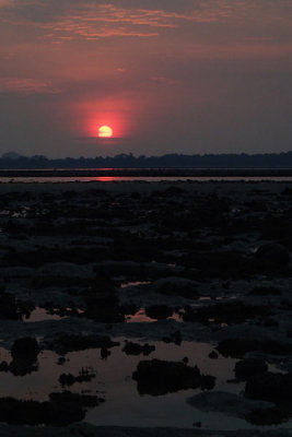 P5260430-copy.jpg