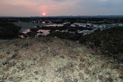 P5260432-copy.jpg